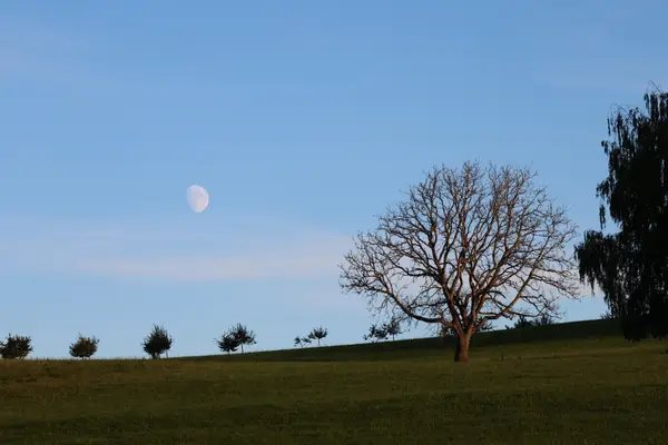 478A5520 - Paysages
